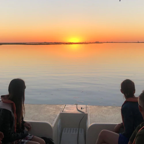 Ria Formosa: Passeio de barco ecológico ao pôr do sol a partir de Faro - Photo 3