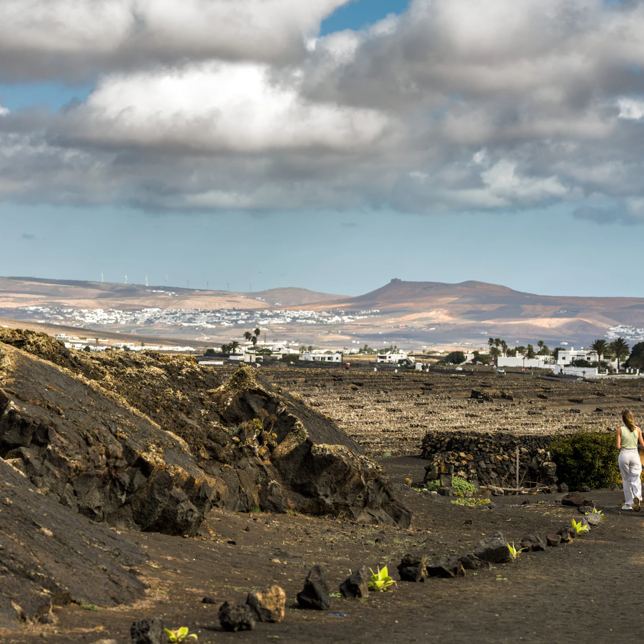 Lanzarote: El Grifo Wine Lovers Tours