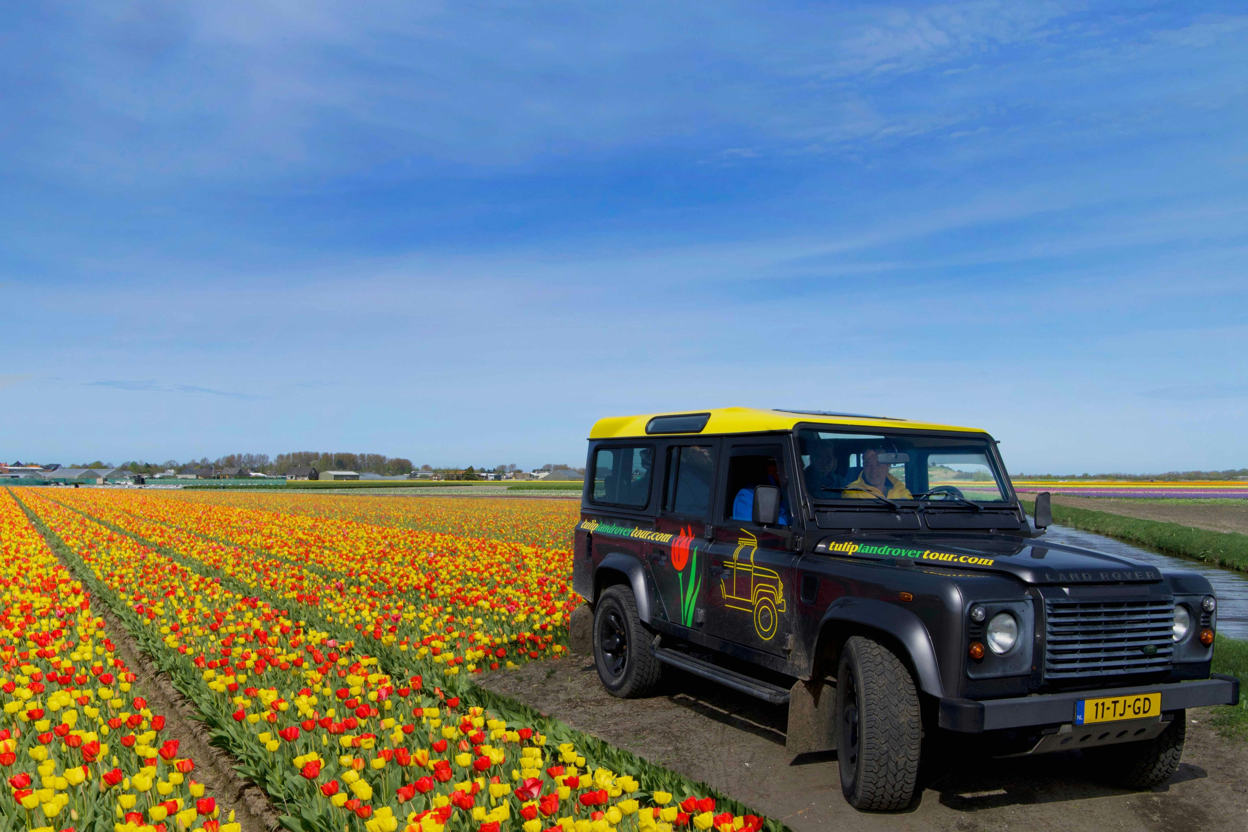 Landrover explorando los tulipfields