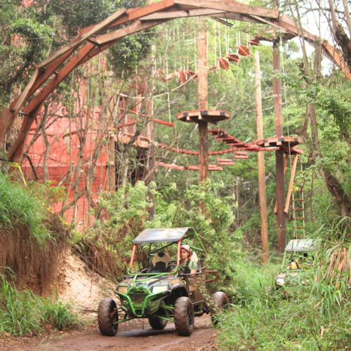 Coral Crater Adventure Park: Off-Road ATV Experience + Transport from Waikiki - Photo 6