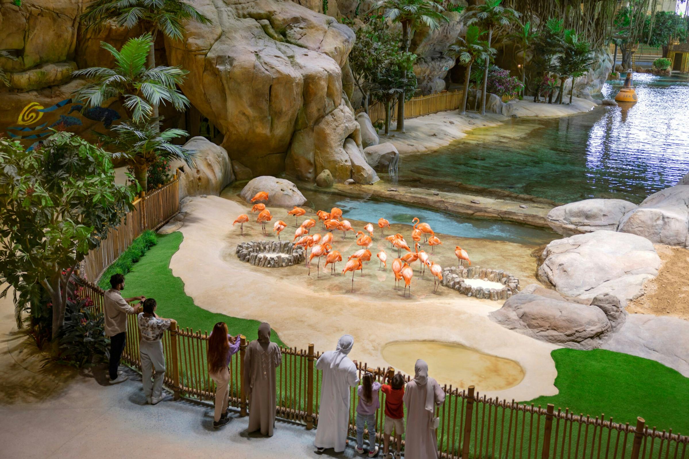 Yas Waterworld: Entry Ticket + Shuttle Service 5
