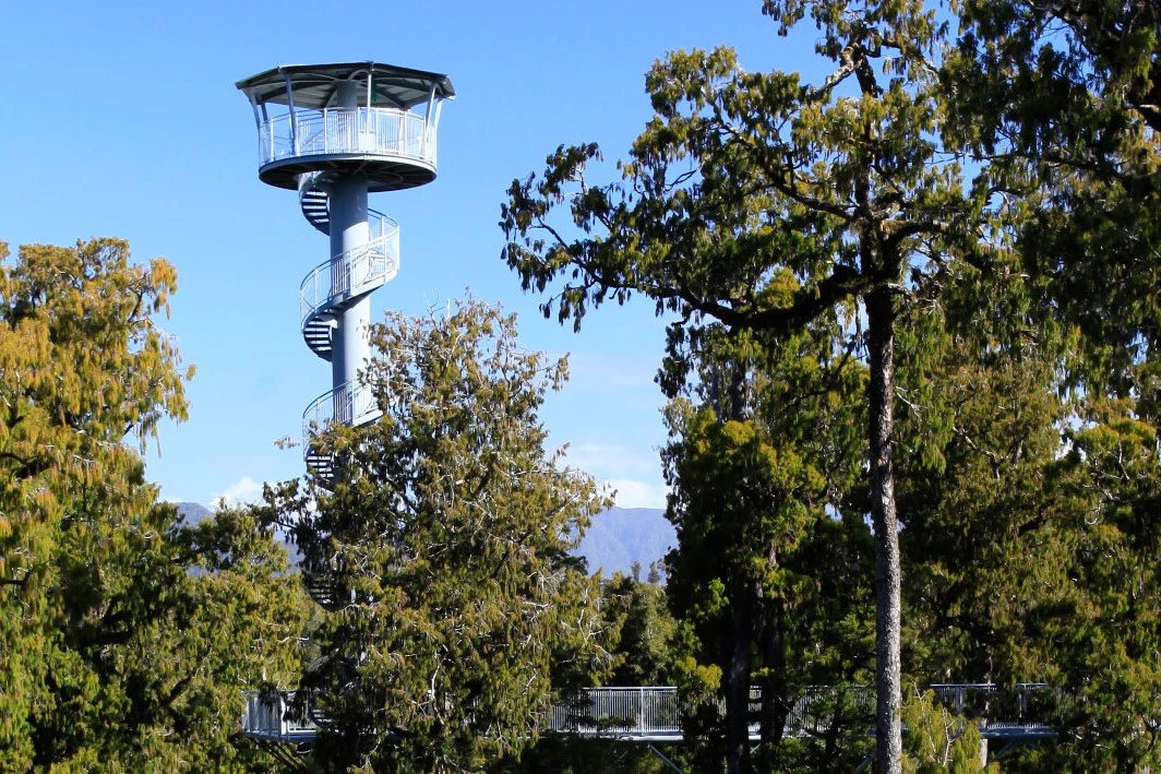 West Coast Tree Top Tower: Walkway Access Ticket