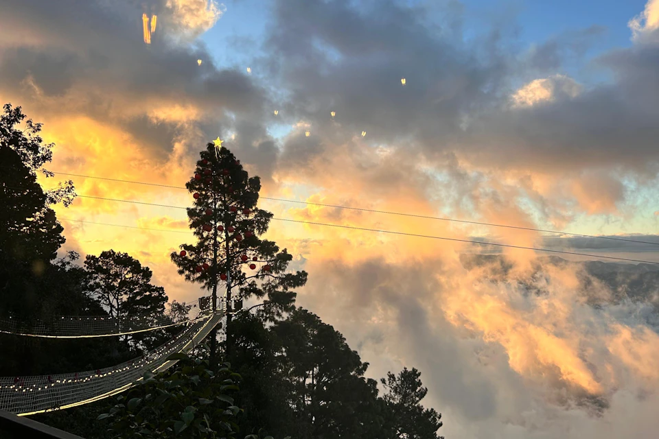 A sunset view with pine trees silhouetted against a cloudy sky, with string lights and power lines in the foreground.