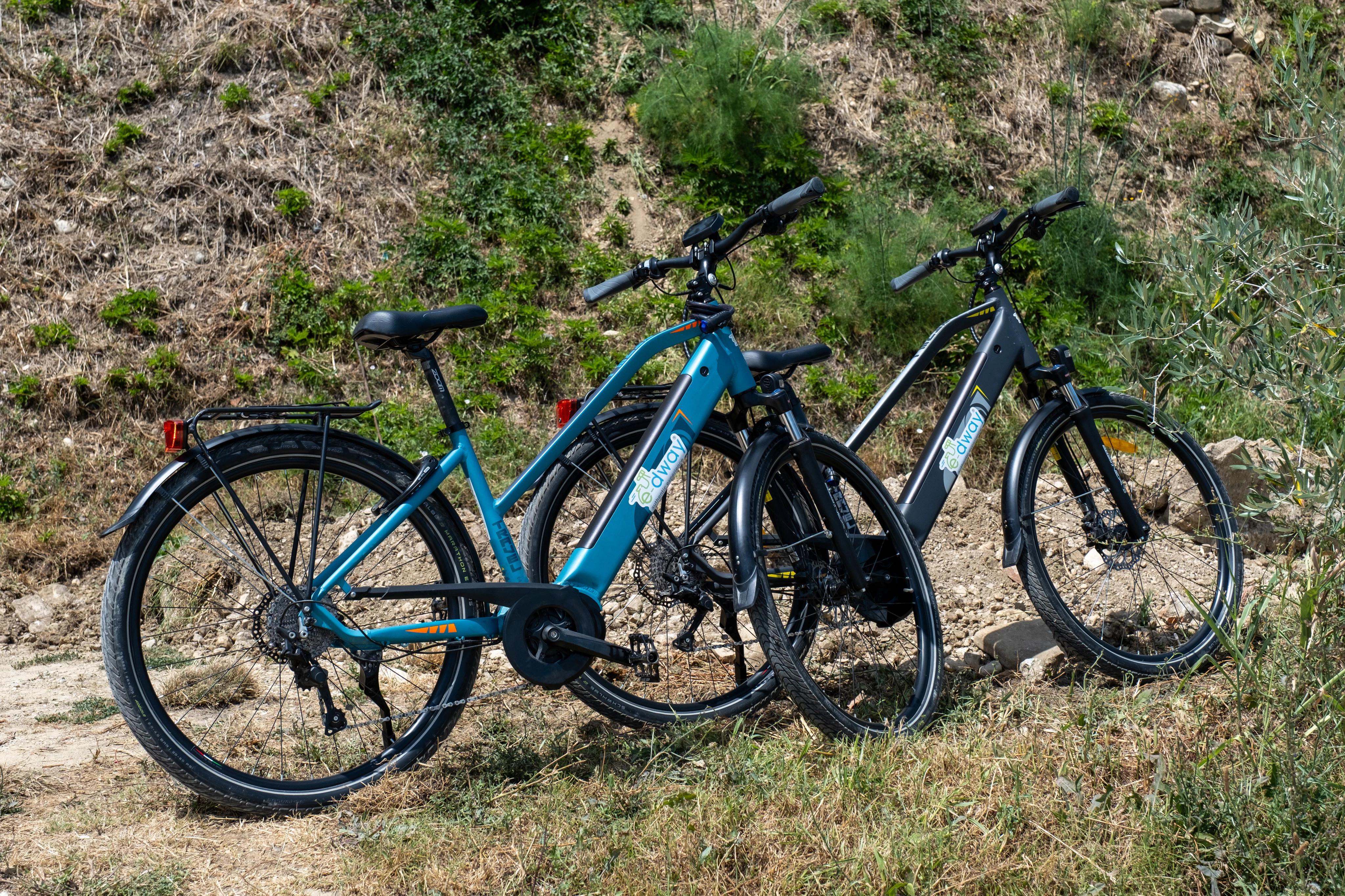 Florence: Half-Day Guided E-bike Tour + Lunch