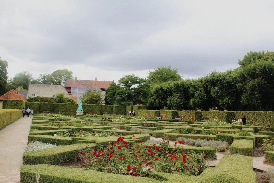 Manicured garden with neatly trimmed hedges, blooming red roses, and distant background of trees and buildings under a cloudy sky.