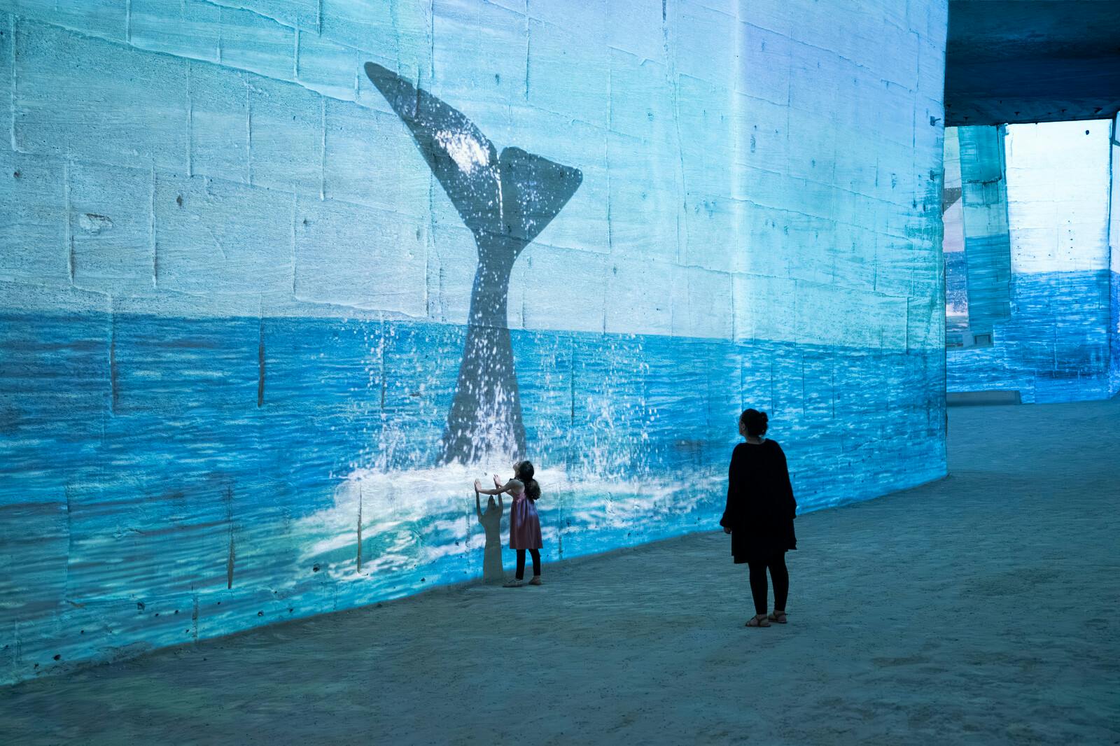 Een kind en een volwassene kijken naar een grote muurprojectie van de staart van een walvis die opspat in de oceaan.