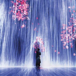 Superblue Miami Immersive Art Experience feat. teamLab