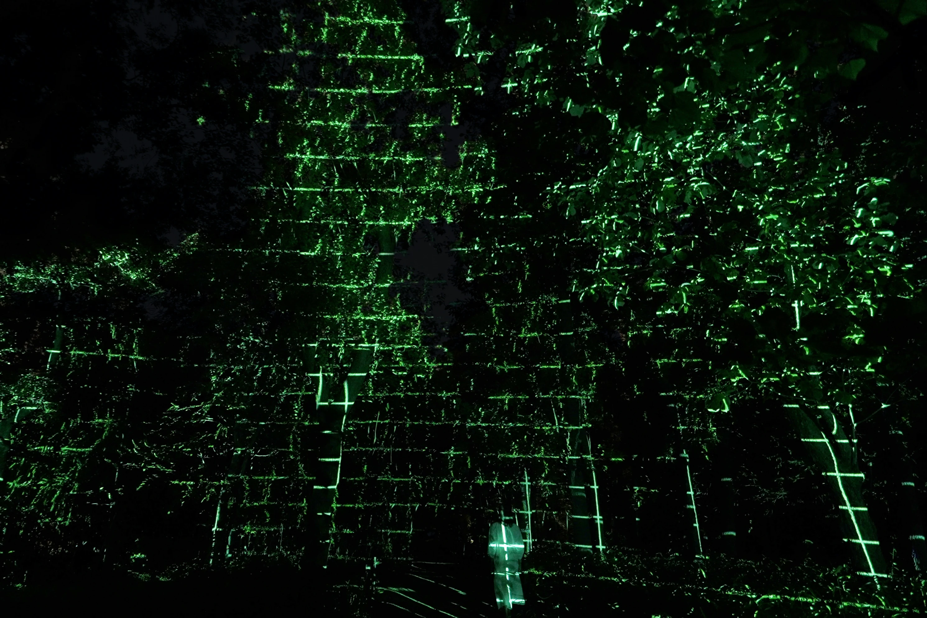 TeamLab Botanical Garden Osaka: Admission Ticket