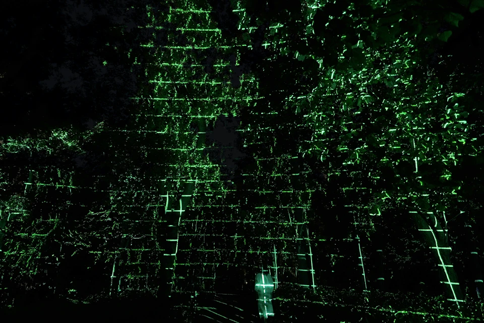 A dark scene illuminated by a grid-like pattern of green lights projected onto trees and foliage.
