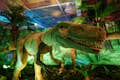Dino-Safari: Ein begehbares Abenteuer im Horseshoe Las Vegas
