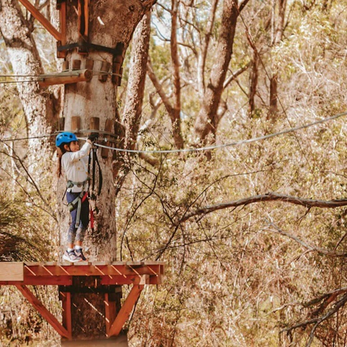 Treetops Adventure Yanchep: Junior Ropes Course