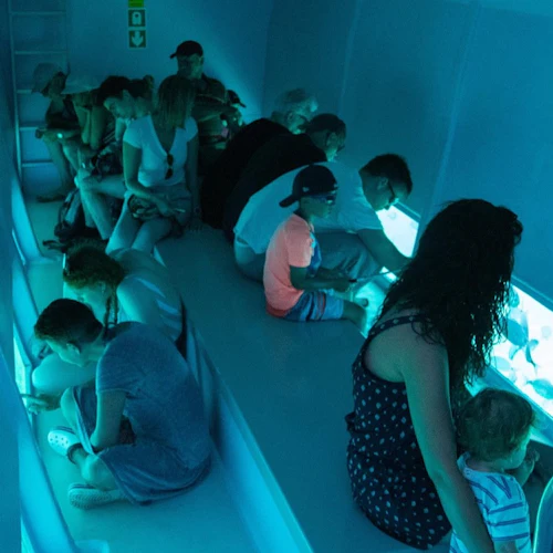 Illes Medes & L'Estartit: Catamaran Cruise from Roses - Photo 3