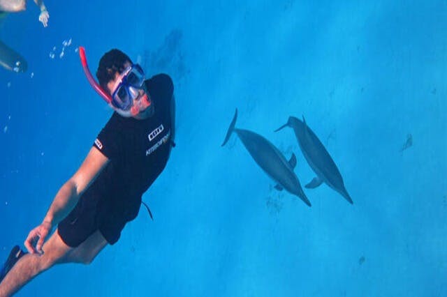 Δελφίνια Sataya Marsa Alam 2