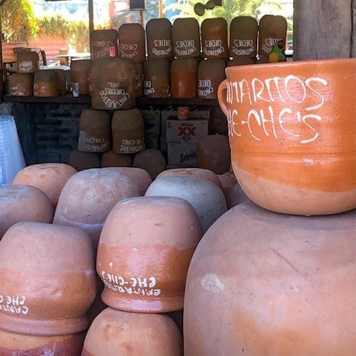 Destilería de tequila José Cuervo: Tour desde Guadalajara