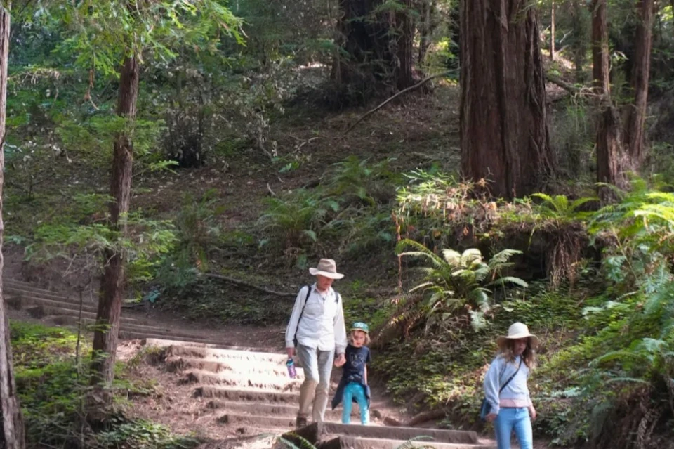 Three people walk down forested steps, surrounded by tall trees and ferns. Two adults and a child wear hats.