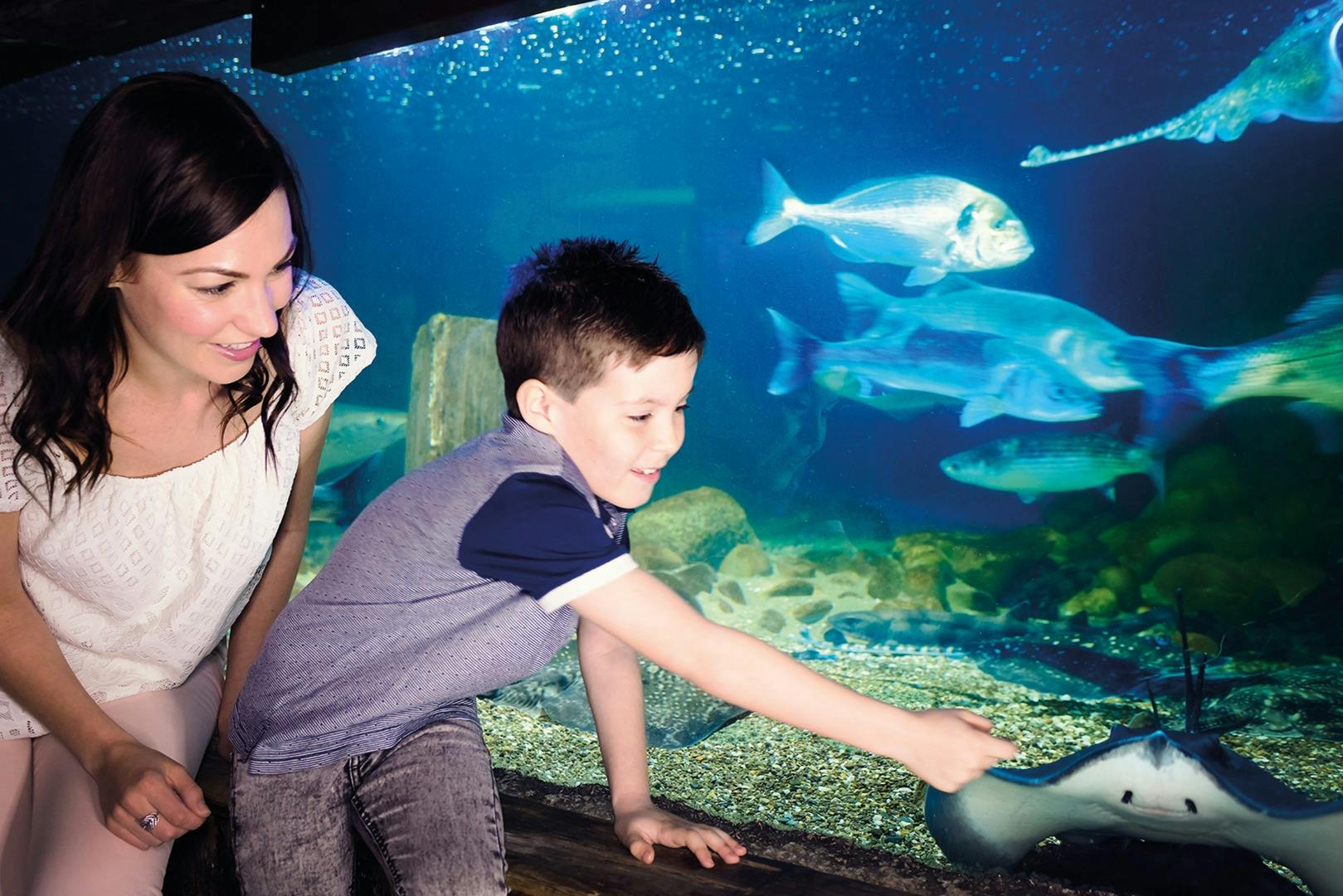 Žena a mladý chlapec šťastně pozorují ryby ve velkém akváriu. Chlapec ukazuje na rybu.