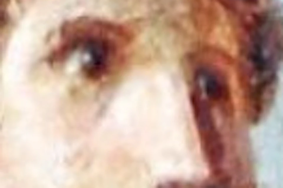 Fresco
