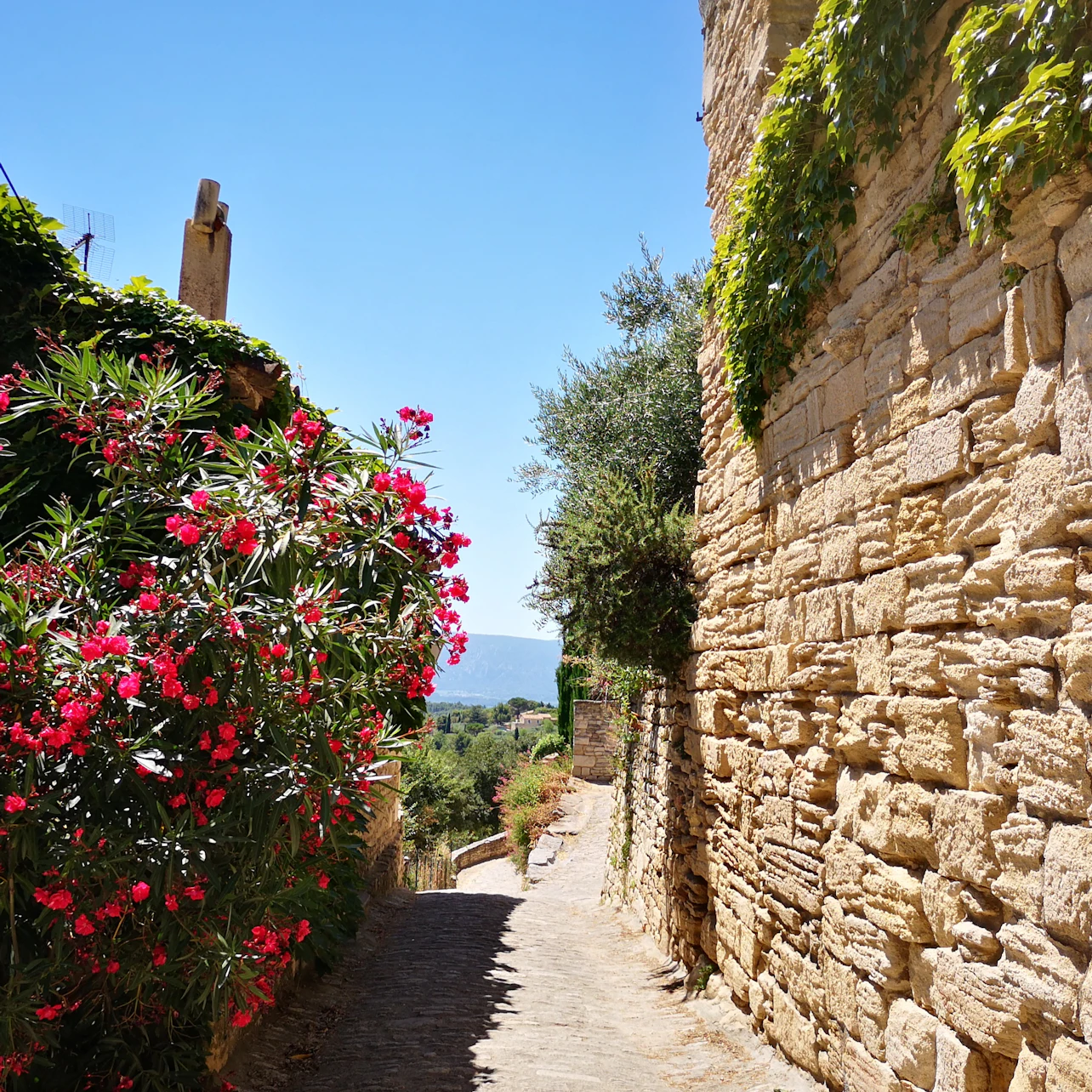 Slider Image