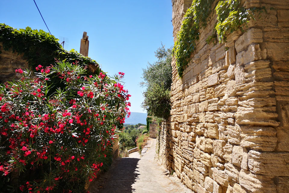 A narrow cobblestone street with a stone wall on one side and flowering bushes on the other under a clear blue sky.