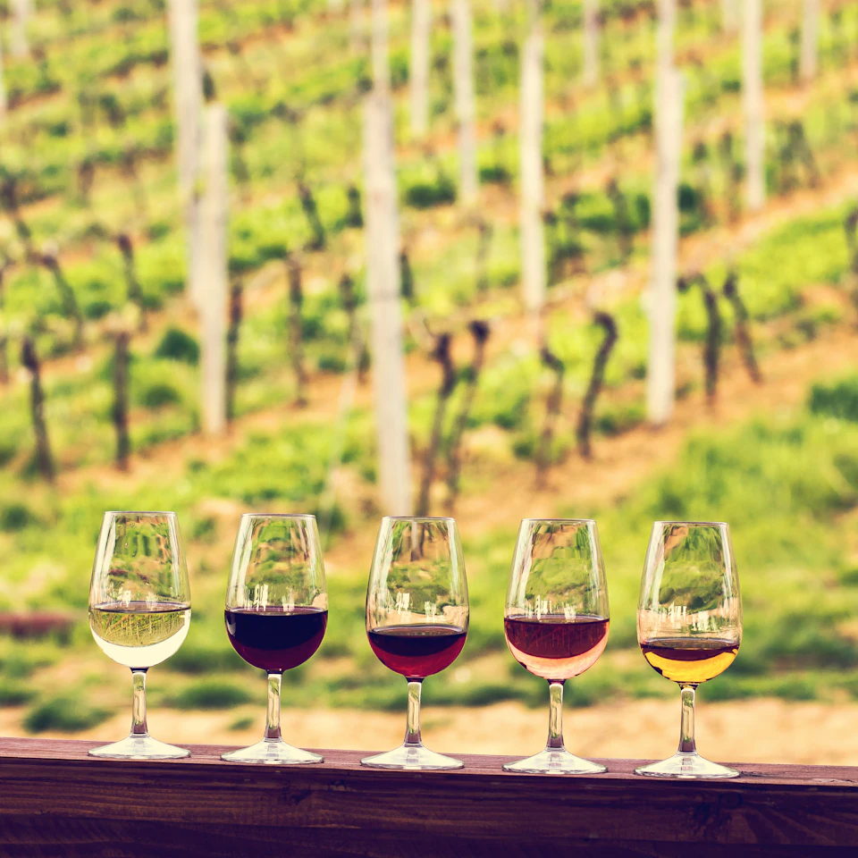 Five glasses of wine, each a different colour, are arranged on a wooden ledge with a vineyard in the background.