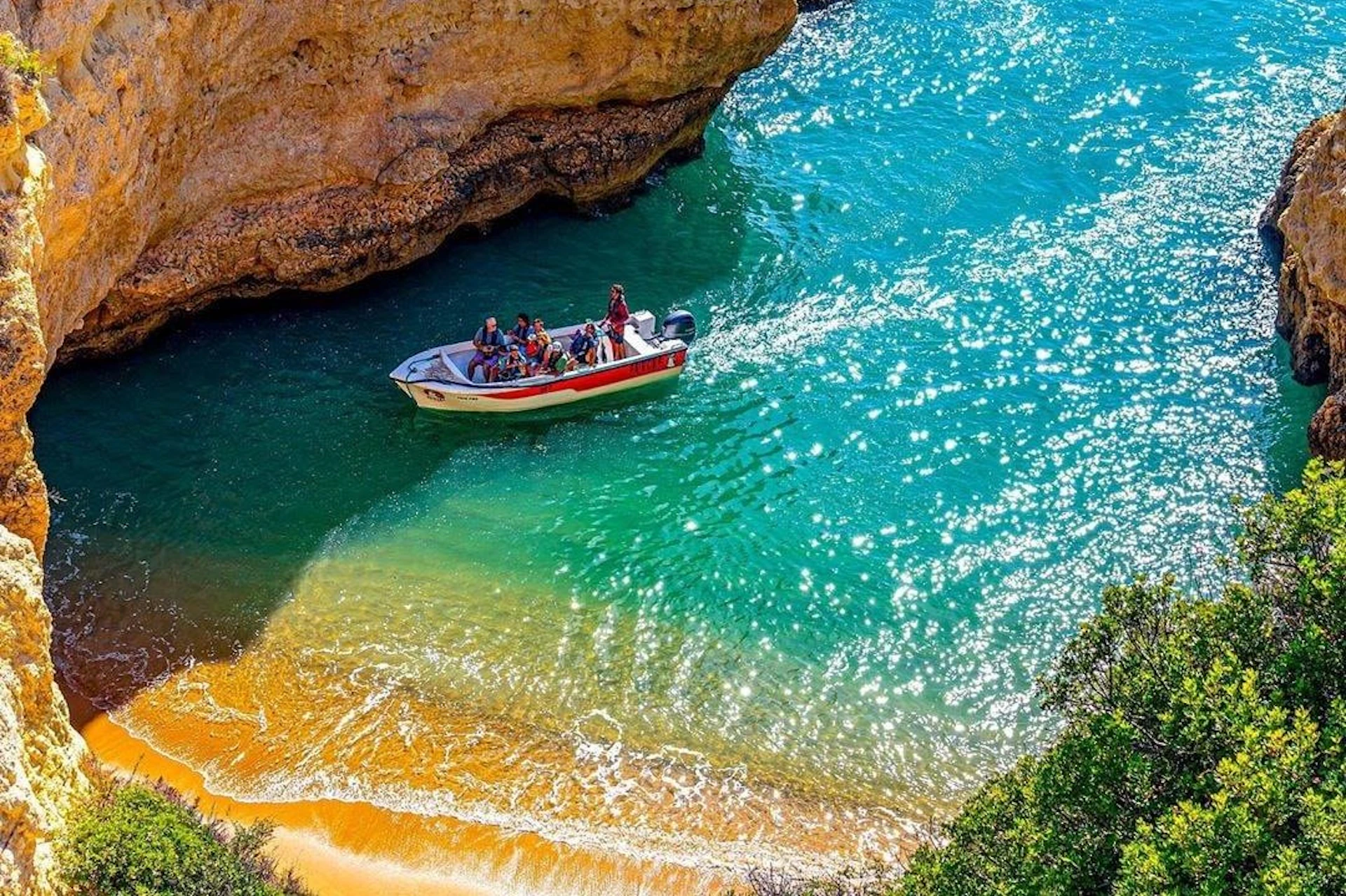 Boat Tour