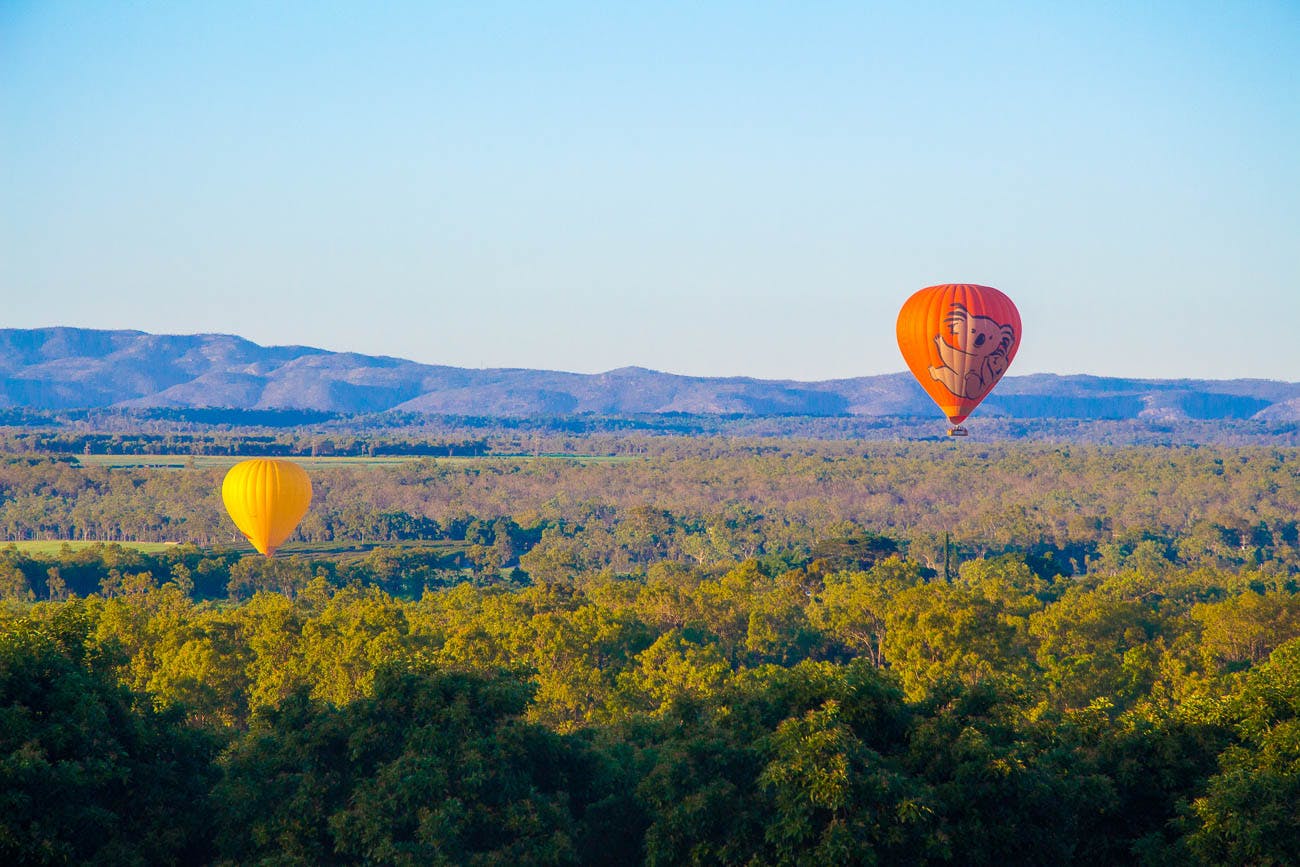 Two hot air balloons, one orange and one yellow, float above a dense, green forest with mountains in the background under a clear blue sky.