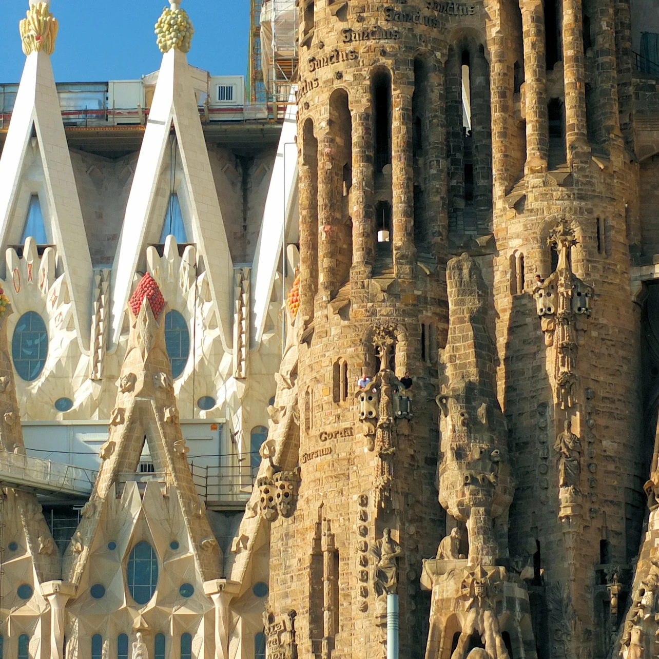 Sagrada Familia: Guided Tour