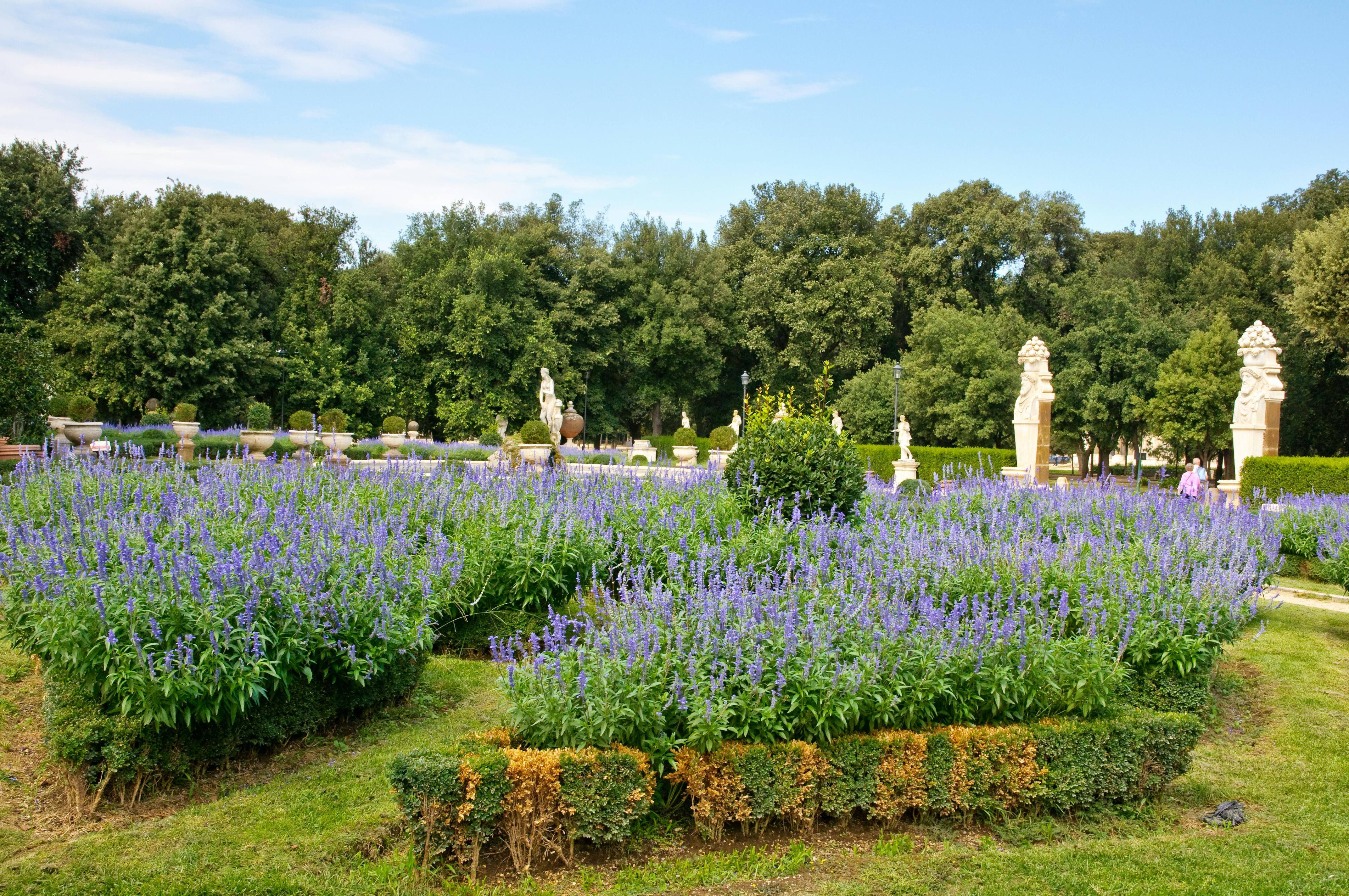 Ein üppiger Garten mit blühenden violetten Blumen, gestutzten Hecken, Statuen und einer Person in einem rosa Hemd, die im Hintergrund spazieren geht.