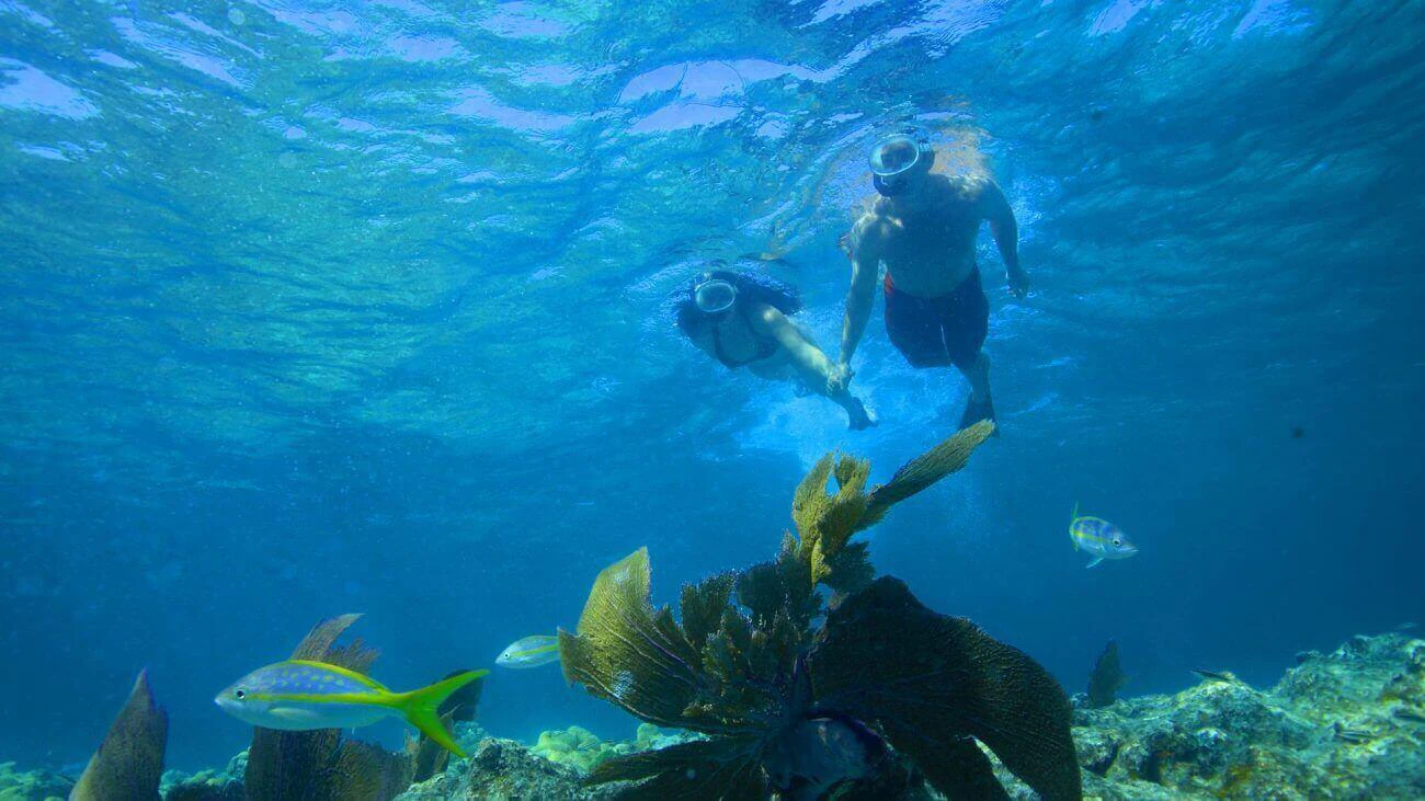 Double Dip Snorkel Trip