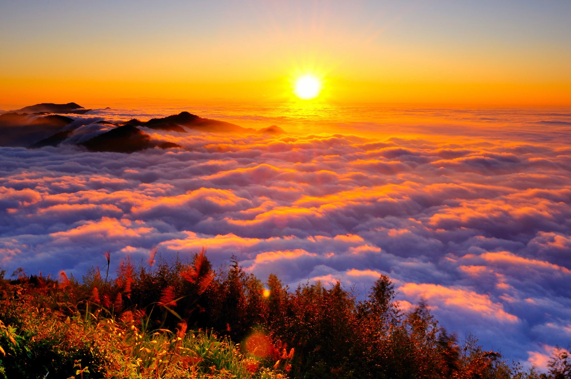 A vibrant sunrise over a sea of clouds, with distant mountain peaks and foreground foliage illuminated in warm light.