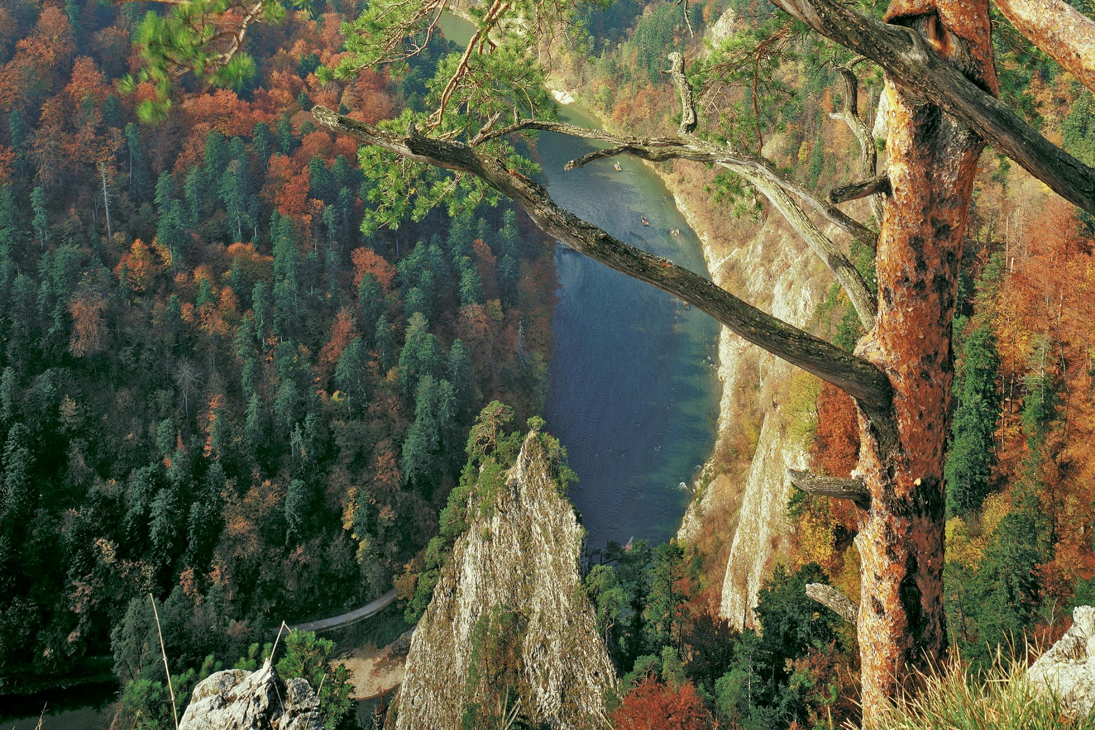 Dunajec River Landscape