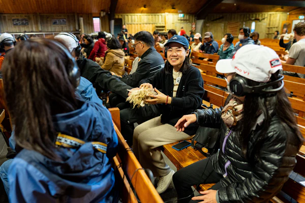 Agrodome Rotorua :农场表演+参观门票 | 在线预订