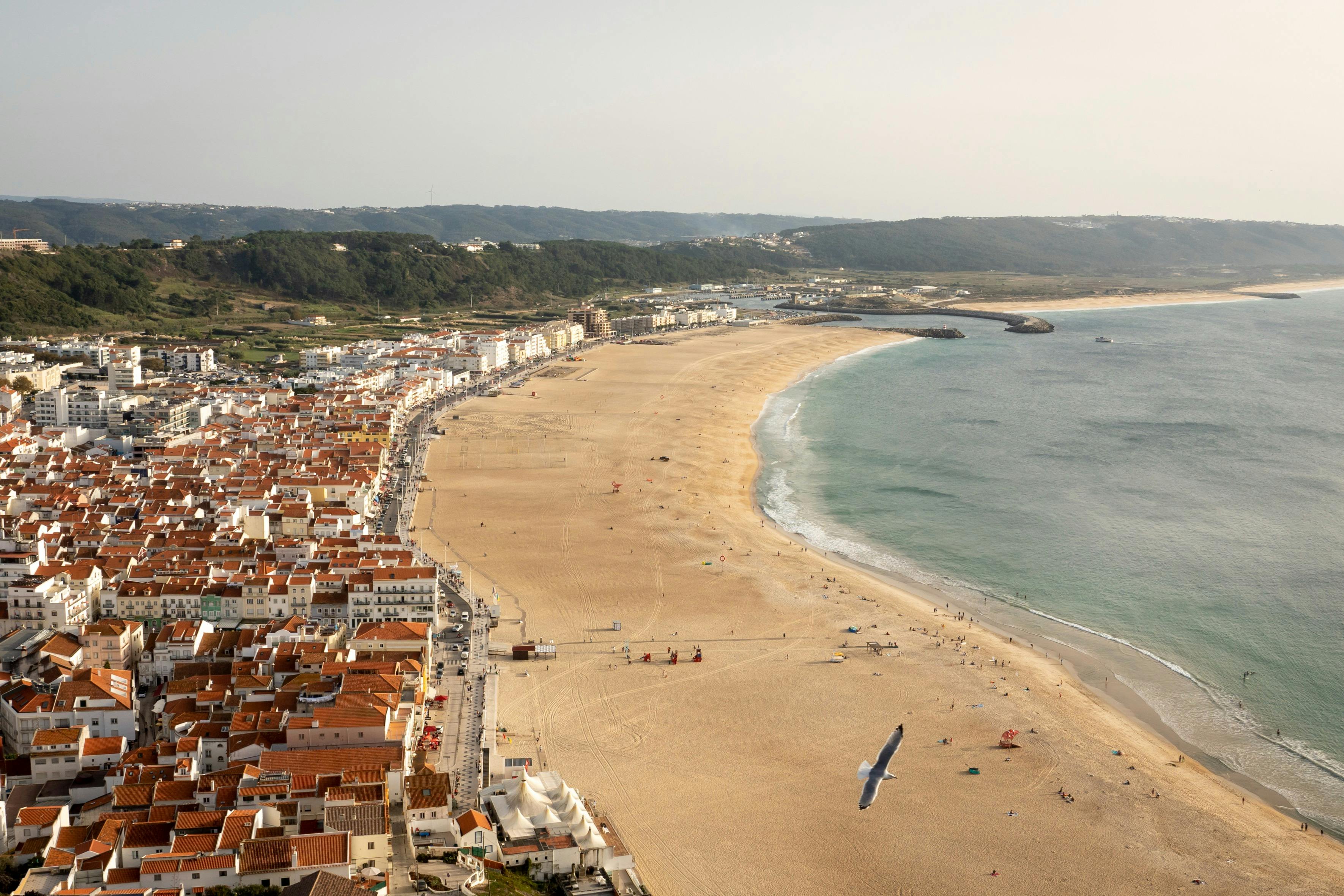 Aerial view of a coastal town with a large sandy beach curving alongside the shoreline and a seagull flying in the foreground.
