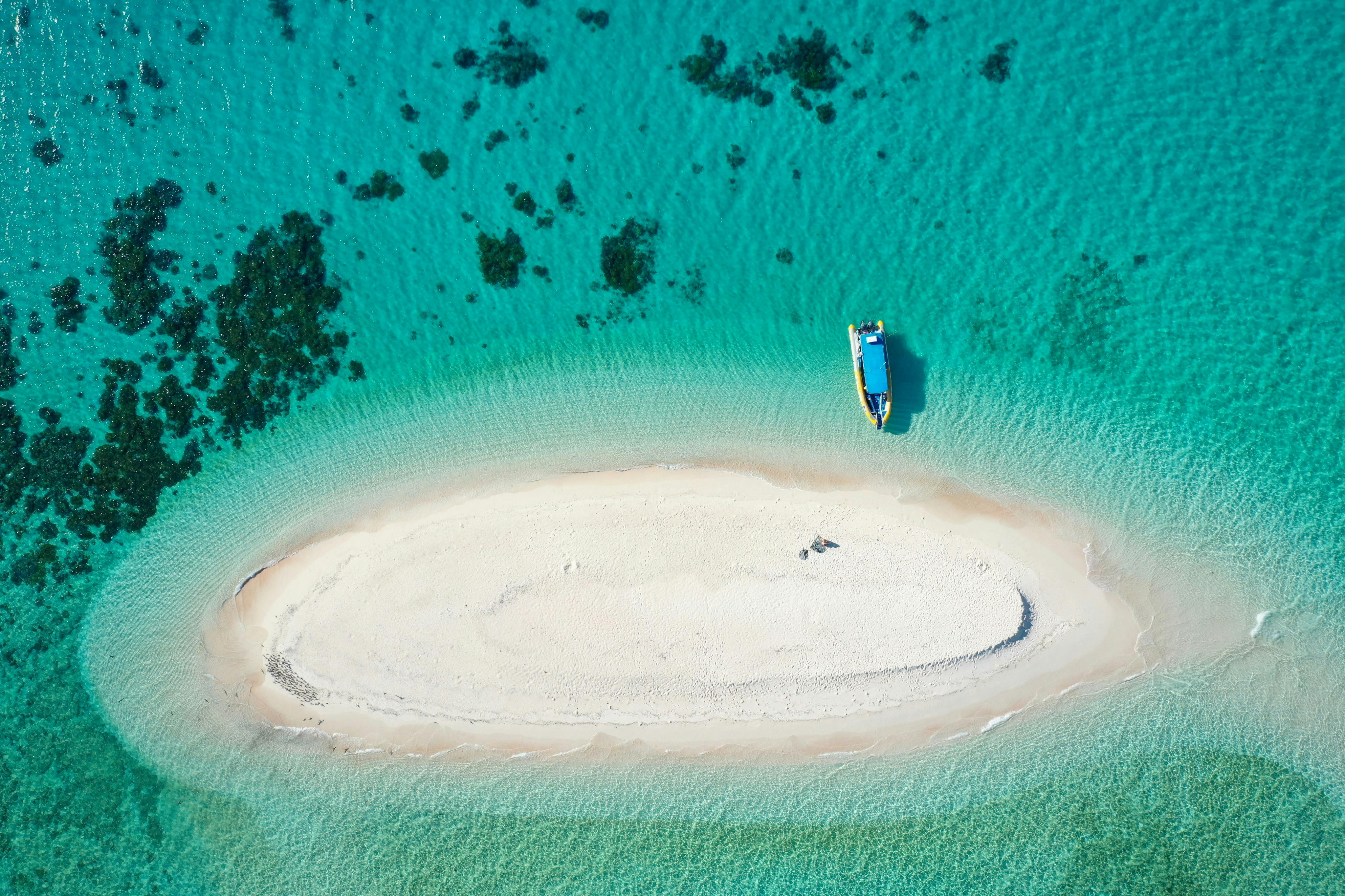 거북이 트립퍼 어드벤처