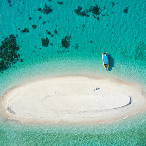 Great Barrier Reef: Guided Boat Tour from Cairns + Snorkelling + Lunch