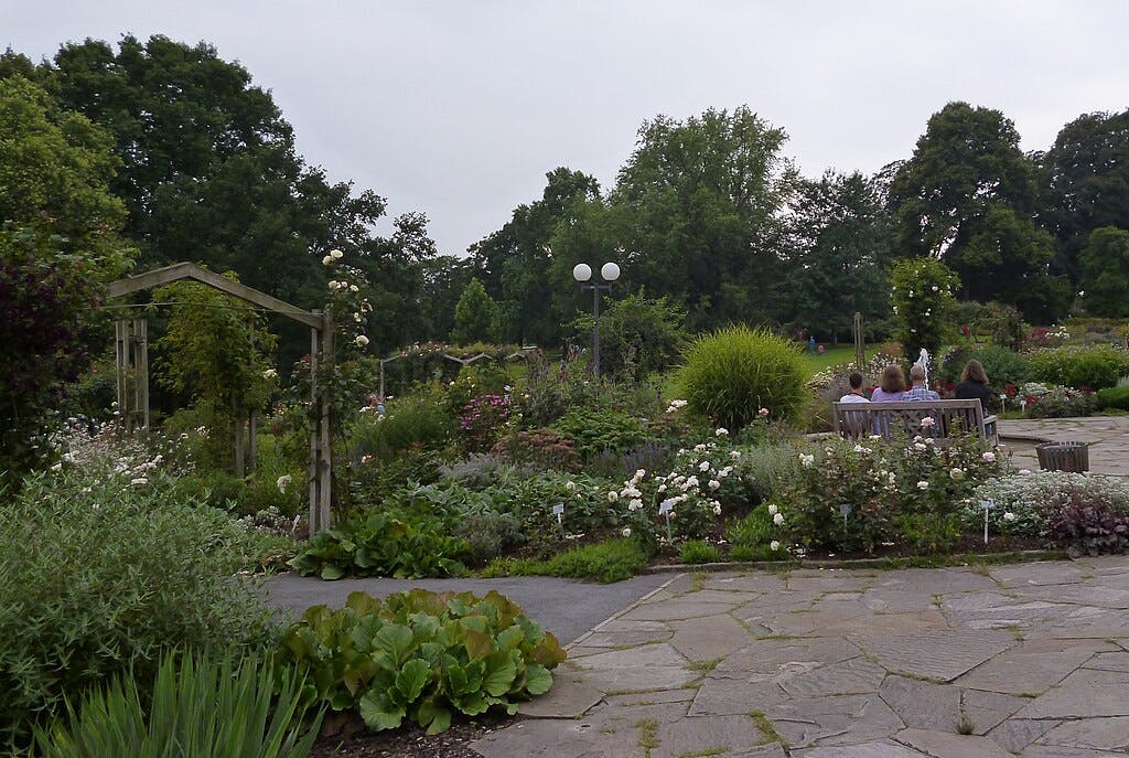 울창한 식물과 길, 나무로 만든 가로수가 있는 정원입니다. 저 멀리 흐린 하늘 아래 벤치에 세 사람이 앉아 있습니다.