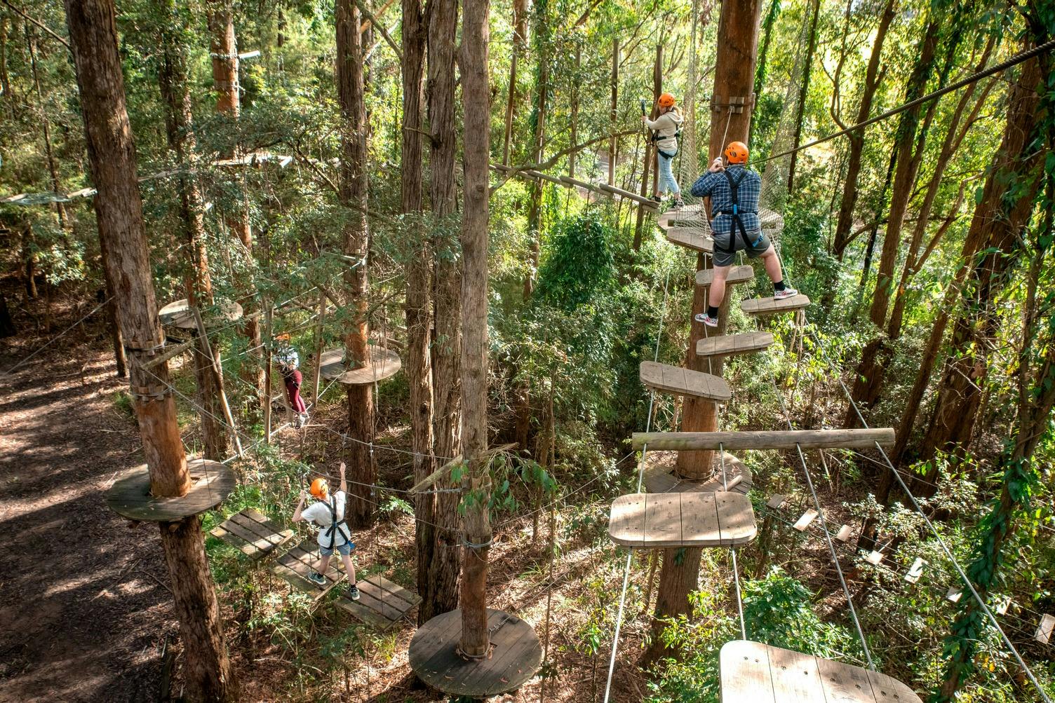 Treetops Adventure Central Coast: Ropes Course + Zipcoaster Ride in Wyong Creek – Tiqets