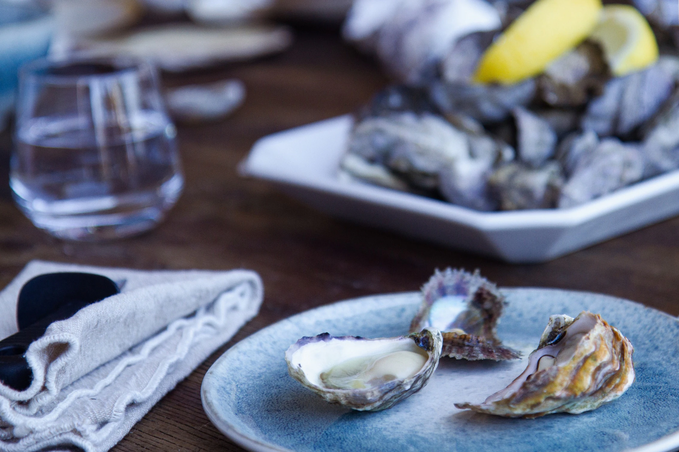 Broken Bay Pearl Farm: Entry + Oyster Tasting