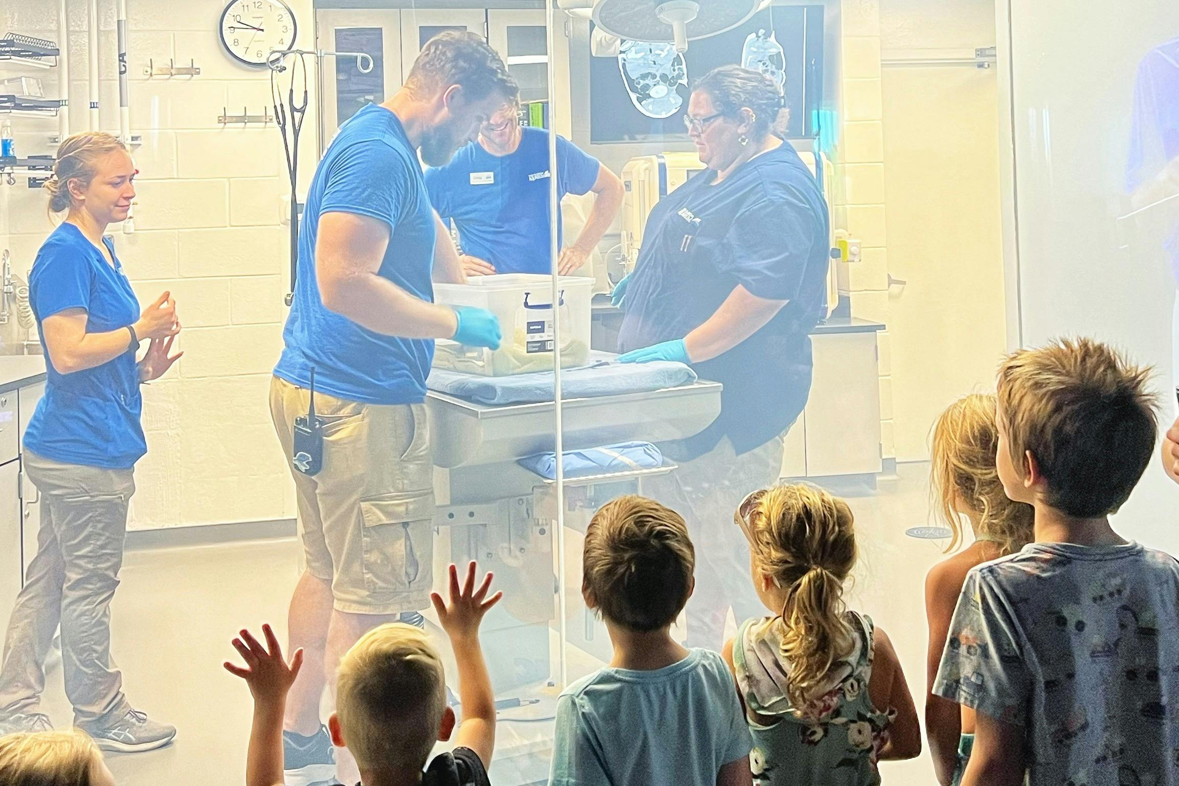 Florida Aquarium Tickets Tiqets