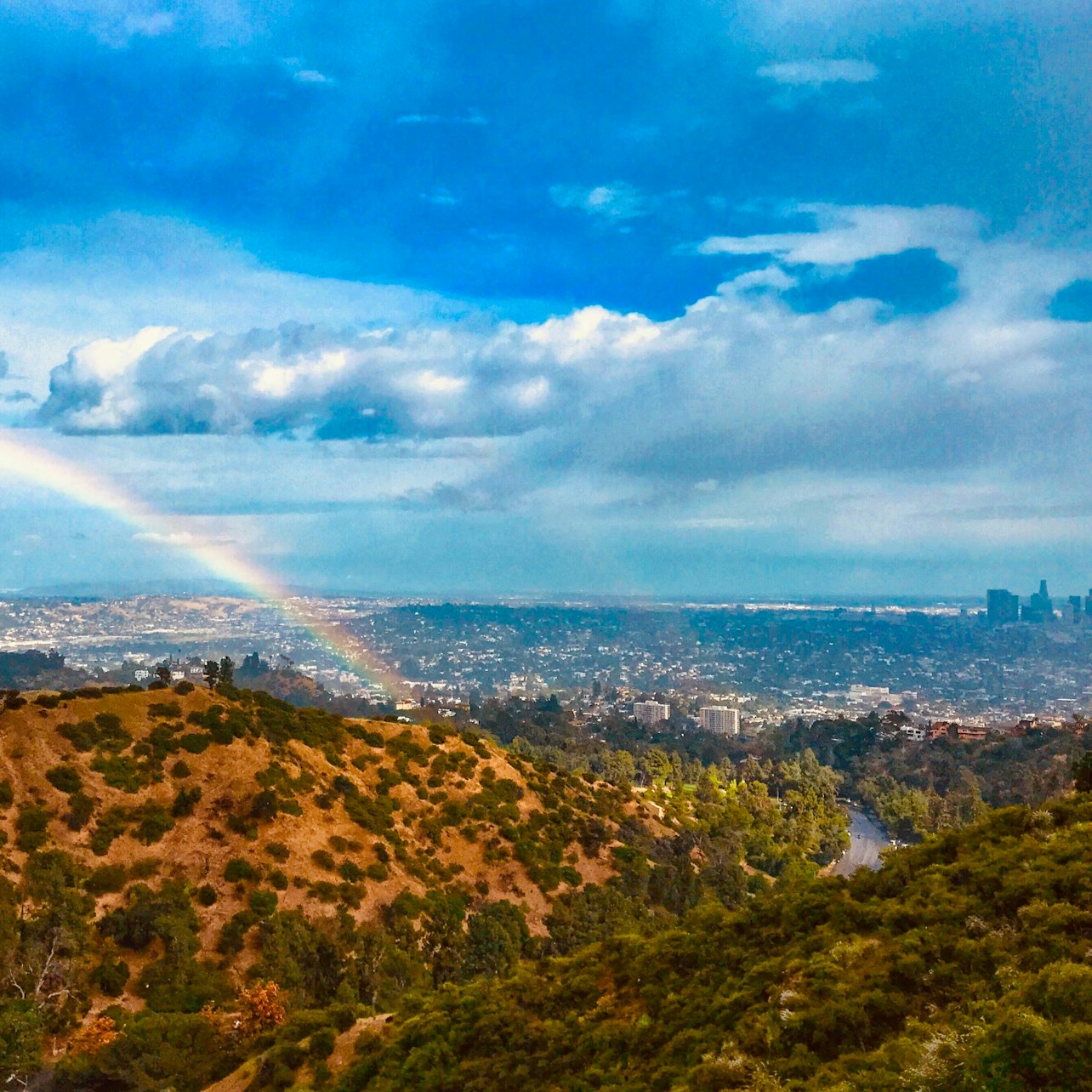 Escursione all'Osservatorio Griffith: passeggiata sulle colline di Hollywood - Alloggi in Los Angeles
