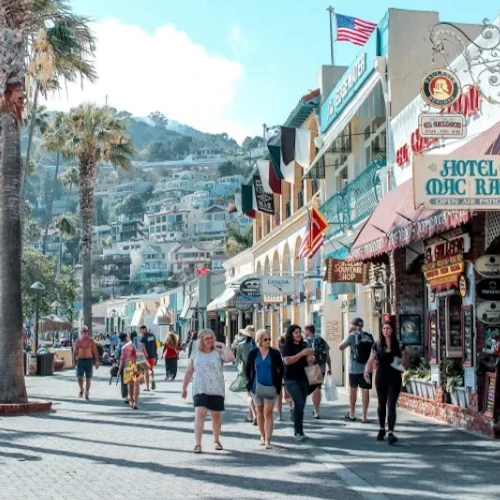 Catalina Island: Day Trip + Scenic Driving Tour - Photo 3