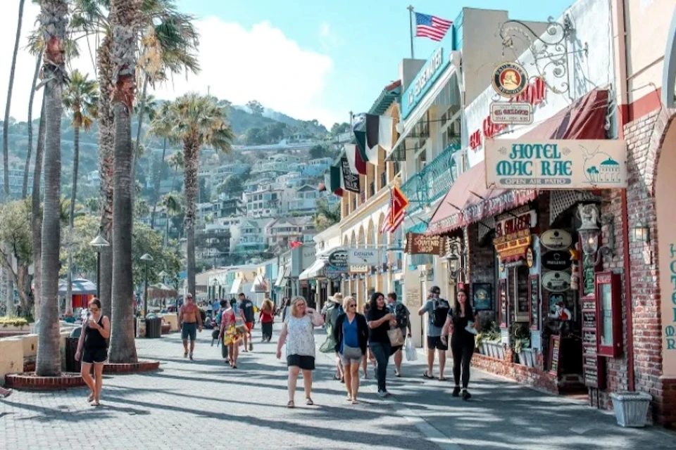 Catalina Island Day Trip with Discover Avalon Scenic Driving Tour