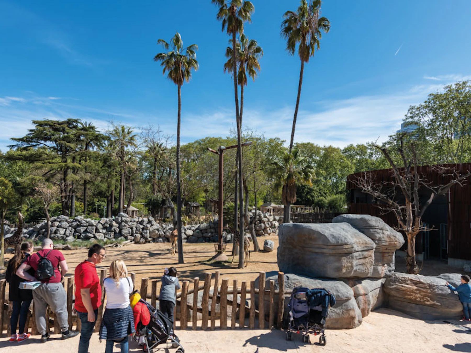 Barcelona Zoo: Eintritt ohne Anstehen