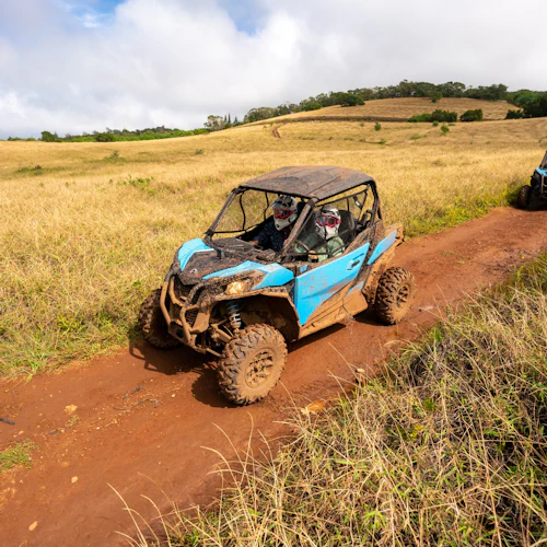 Lahaina: Aventura de quadriciclo - Photo 6
