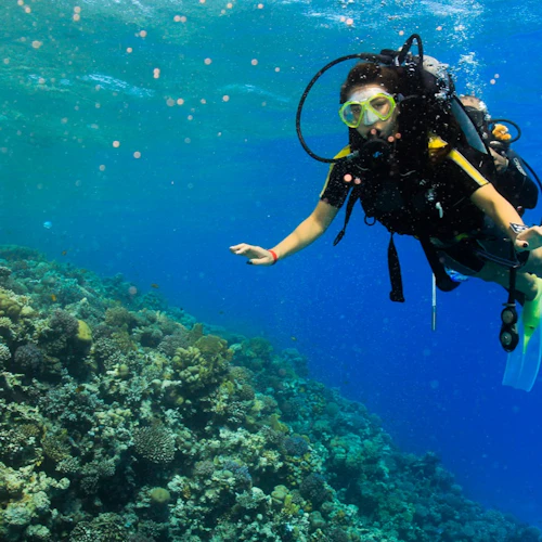 Hurghada: Guided Scuba Diving Experience + Roundtrip Transfer + Lunch - Photo 9