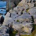 De Burren en "Baby Cliffs ".