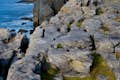 The Burren och "Baby Cliffs "