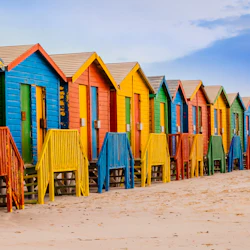 Boulders Beach & Cape Point: Half-Day Tour 5