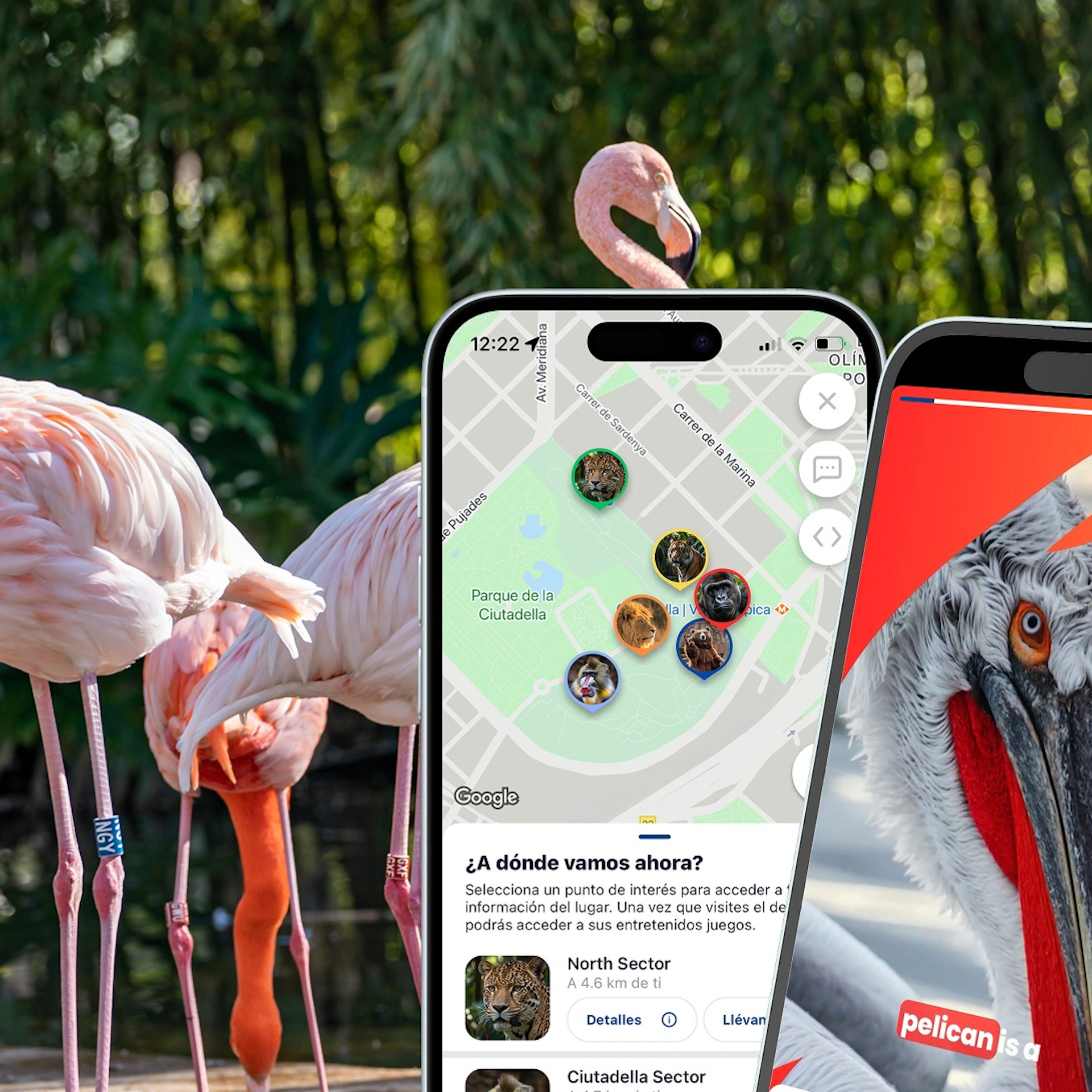 Zoo de Barcelona: Audioguia