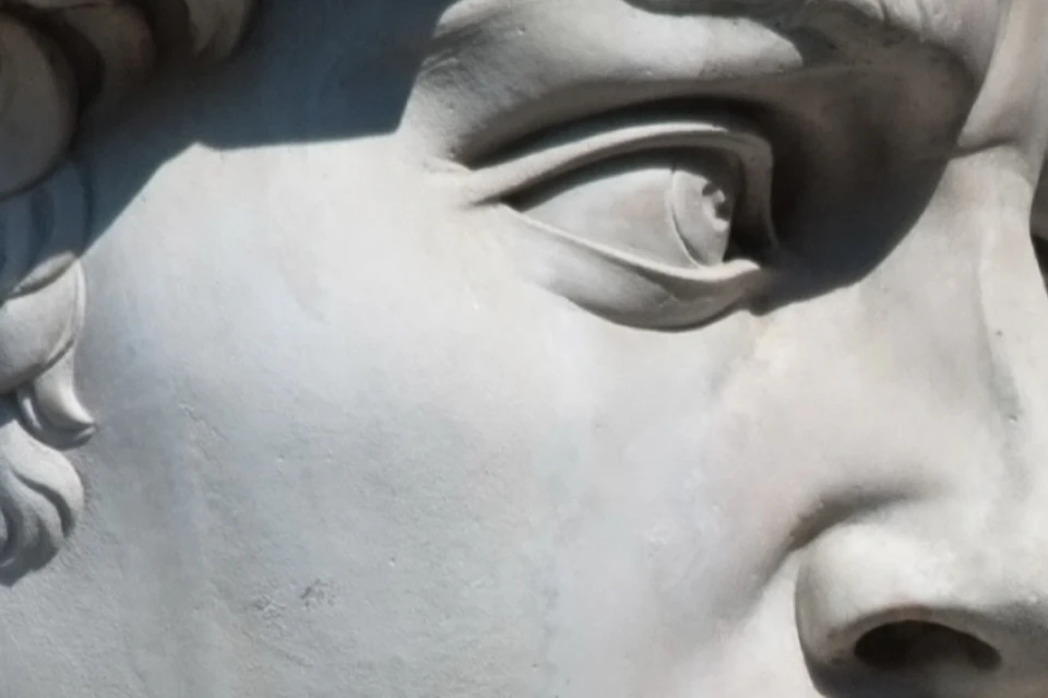 Guided tour of Michelangelo's David and the city center of Florence with Babylon tours